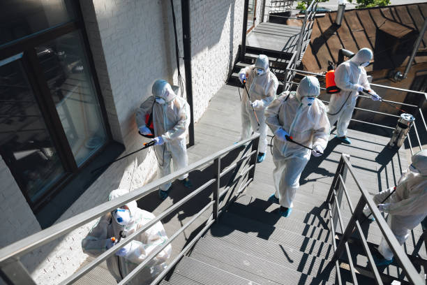 Best Forensic Mold Investigation  in Cutler, CA
